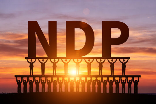 Numerous small figures silhouetted in the morning sun, holding up NDP