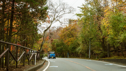 日本：富士パノラマラインの篭坂峠／ドライブする車と紅葉／山梨県山中湖村・11月 © yumiko