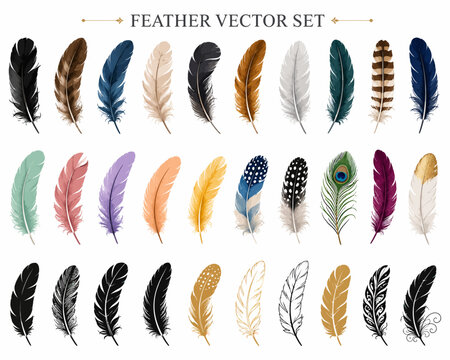 Large set of colorful realistic and silhouette feather vector illustrations
