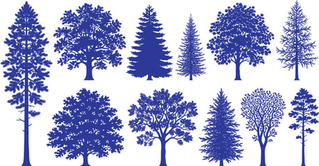 Blue tree silhouettes collection, 12 forest tree vector icons. Coniferous and deciduous tree shapes for landscape design and mapping. © Ali