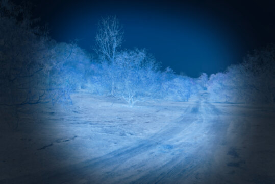A road through a forested area at night viewed through an infrared camera.