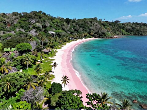 Aerial View of Pink Beach and Tropical Jungle Border Komodo