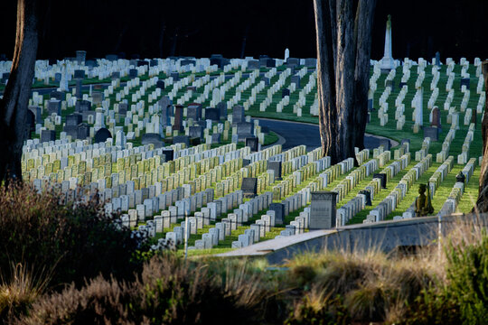 Rows of white headstones at San Francisco National Cemetery in golden evening light. g.