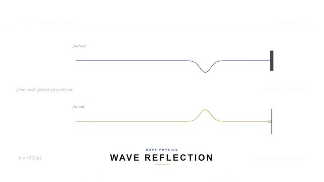 Wave Reflection on a String - Fixed & Free Boundary Physics Animation