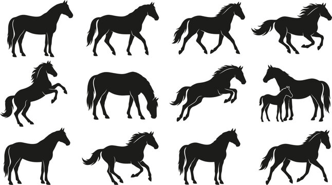 Horse silhouette collection featuring standing, walking, running, grazing, rearing and mare with foal isolated on white background