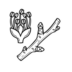 Obraz premium wood stick with flower