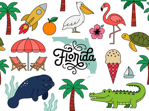 Florida Vacation Icons Illustration with Alligator Flamingo and Manatee