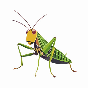Grasshopper vector drawing featuring a yellow head and green striped body stands on a white backdrop.