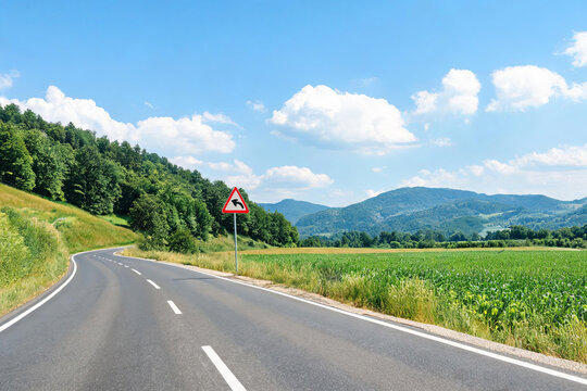 A winding rural asphalt road with a left curve warning sign, flanked by fields and forests under a clear blue sky.