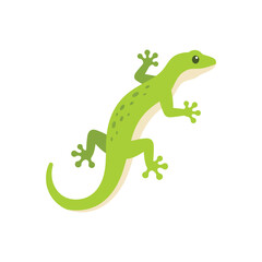 Obraz premium Green Gecko Climbing Isolated On White With Copy Space For Text Vector Illustration