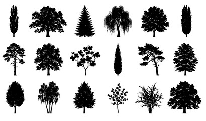 Black Silhouette Tree Species Vector Icon Set with Detailed Coniferous and Deciduous Foliage Contours for Landscape Layout Plans and Environmental Maps © Mstbilkis