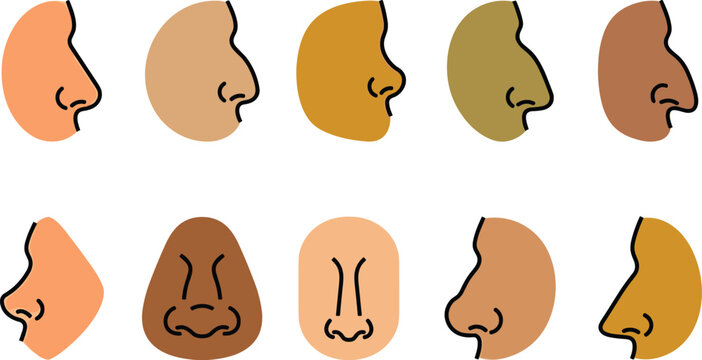 Human Nose Shape Set with Different Skin Tones and Side Front View for Face Character Creator Design Elements
