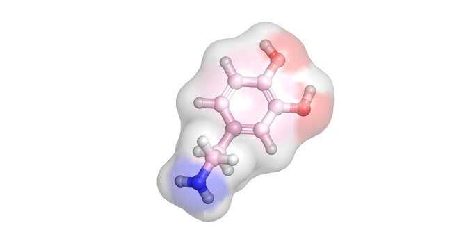 Dopamine, catecholamine neurotransmitter and vasopressor for hemodynamic support, 3D molecule 4K