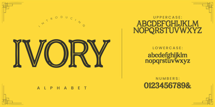 IVORY luxury classic serif font with elegant decorative lines for upscale fashion branding design