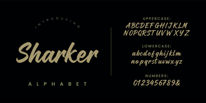 Sharker bold dry brush script typeface for dynamic sportswear and extreme sports branding