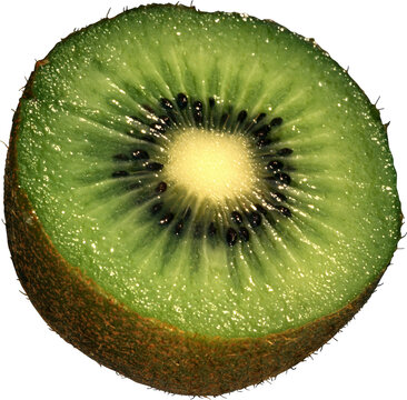 slice of kiwi