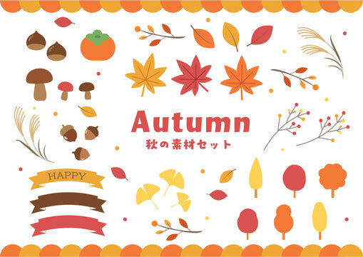 秋の素材セット 秋素材　ベクターイラスト 　紅葉 イチョウ 落ち葉 ススキ どんぐり 栗 柿 きのこ 木 枝 リボン