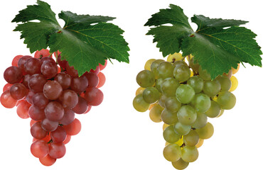 Fototapeta premium bunch of grapes