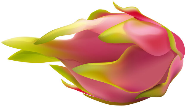 dragon fruit isolated on white background