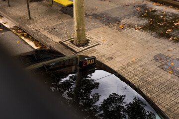 Roof of a parked taxi reflects trees and sky beside a wet paved sidewalk. Urban transport and city mobility supporting taxi services and travel infrastructure themes © Екатерина Лукашина