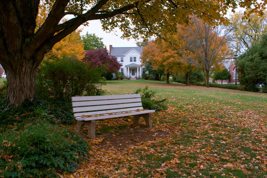 Autumn garden bench beneath colorful trees near traditional house