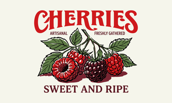 Retro fruit illustration featuring raspberries and the word cherries for a vintage t shirt print.