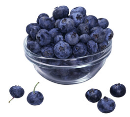 blueberries in a bowl © Sabbir