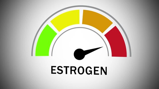 Animated estrogen level gauge meter indicating hormonal balance and health status with dynamic needle movement for medical research, clinical diagnostics, endocrinology presentations, and wellness