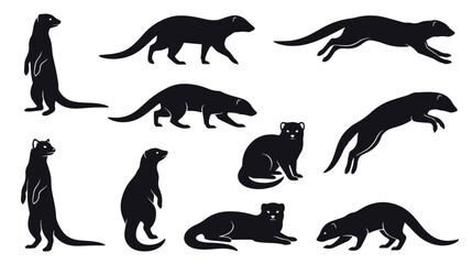 Obraz premium Wild big cat family vector illustration set. Black panther and jaguar poses. Standing, walking, sitting, and running silhouettes for wildlife design projects.