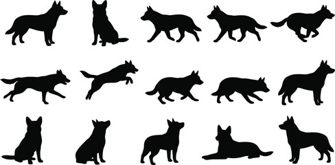Husky, dog, silhouette, vector, set, collection, standing, sitting, running, walking, pose, pet, canine, purebred, isolated, graphic, design, illustration, icon ©  ONLI SILHOUETTE