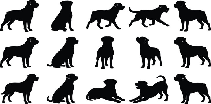 Rottweiler dog silhouette set, dog poses vector, sitting running standing guard icons, pet silhouettes, canine silhouette bundle, animal clipart, isolated