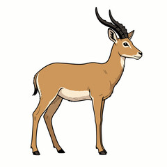 Fototapeta premium Standing Antelope Illustration with Curved Horns on White Background