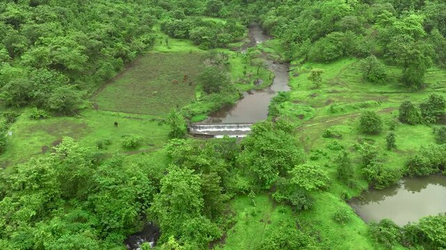 Drone view of lush green forest with winding river and small check dam