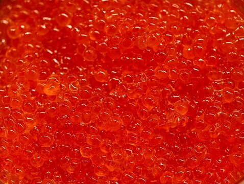 Close-up texture of bright red salmon caviar roe.