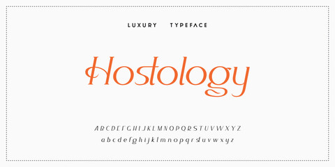 Luxury elegant alphabet letters and numbers. Elegant wedding typography classic serif font decorative vintage retro. Creative vector illustration © ch