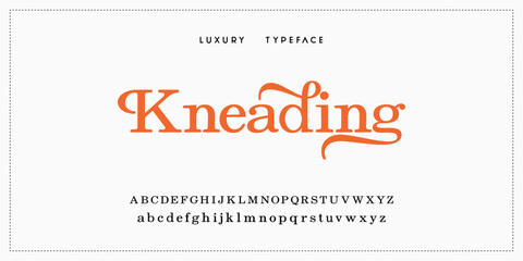 Luxury elegant alphabet letters and numbers. Elegant wedding typography classic serif font decorative vintage retro. Creative vector illustration © ch