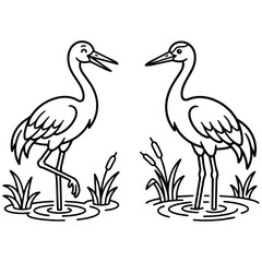 Obraz premium Two Elegant Cranes Facing Each Other in Nature Illustration