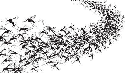 Obraz premium Swarm of flying mosquitoes silhouette isolated on white background representing insect infestation and pest control concept vector illustration