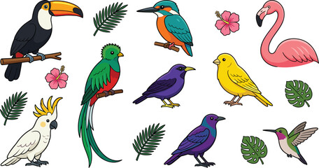 Cute Tropical Birds Vector Illustration Set with Toucan Parrot Quetzal Kingfisher Flamingo Hummingbird Cockatoo and Exotic Palm Leaves Graphic Elements © Remi
