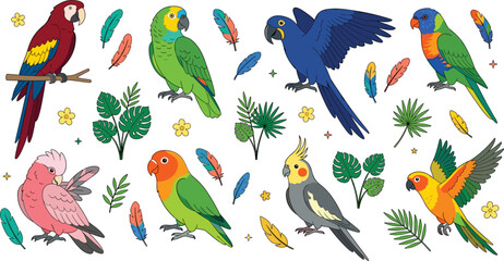 Cute Tropical Parrot Vector Illustration Set with Macaw Cockatoo Lovebird Cockatiel Conure Lorikeet and Colorful Exotic Jungle Feathers and Leaves © Remi