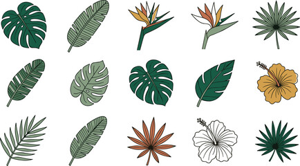 Tropical Botanical Plant Collection Vector Set with Monstera, Banana Leaves, Palm Fronds, Bird of Paradise, Hibiscus, and Exotic Floral Elements © MstSuborna