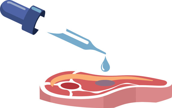 Lab Grown Meat Production Medical Vector Illustration Showing Cultured Meat Tissue with Nutrient Medium and Bioprinting Technology Sustainable Food Concept
