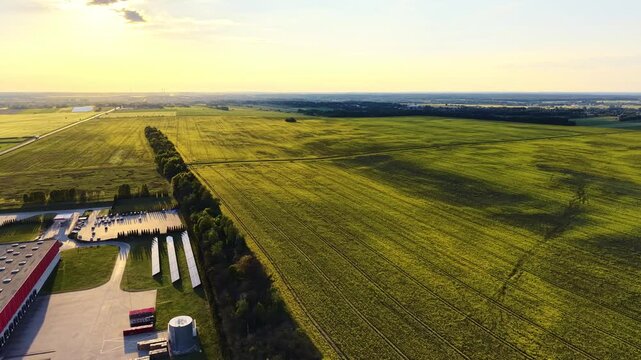 Drone shot of vibrant yellow agricultural crop