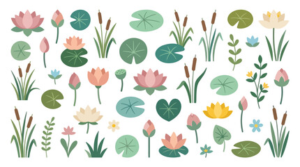 Aquatic lotus flower and lily pad collection. © Hana