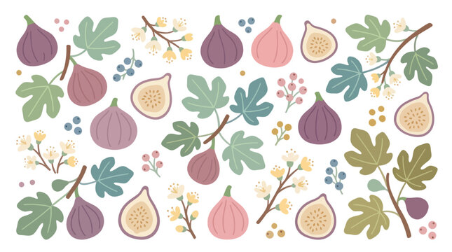 Colorful fig fruit and leaf botanical seamless pattern.