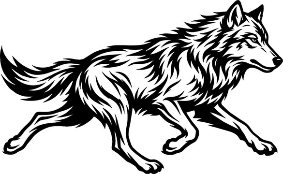 Snarling wolf head in ink engraving style