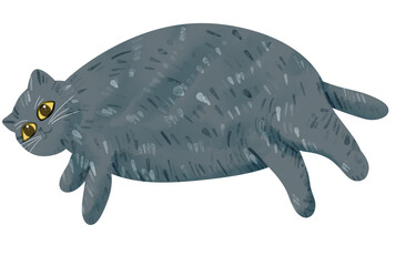 illustration of chubby cat © Mommidhi