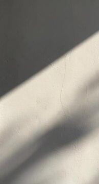 White wall white shadows and sun shine for background. backgrounds. sunlight. side view, front. copy space, empty, free, negative, text, design. half. black dark. bright. paint. presentation, mockup