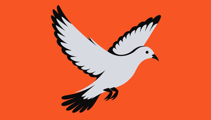 Fototapeta premium white dove flying