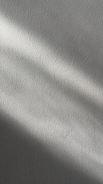 White wall white shadows and sun shine for background. backgrounds. sunlight. side view, front. copy space, empty, free, negative, text, design. half. black dark. bright. paint. presentation, mockup